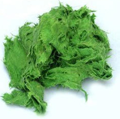 Green Moulding Compound
